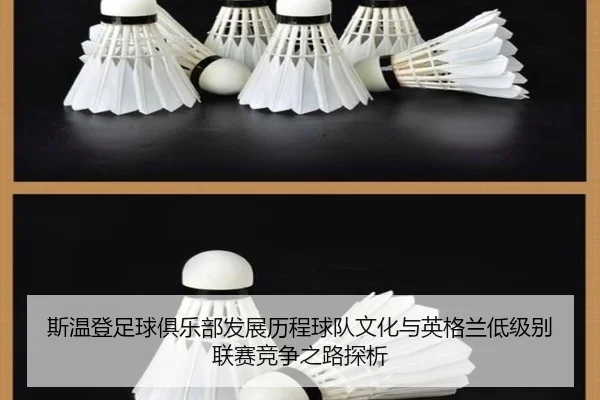 si-wen-deng-zu-qiu-ju-le-bu-fa-zhan-li-cheng-qiu-dui-wen-hua-yu-ying-ge-lan-di-ji-bie-lian-sai-jing-zheng-zhi-lu-tan-xi-2-118.jpg