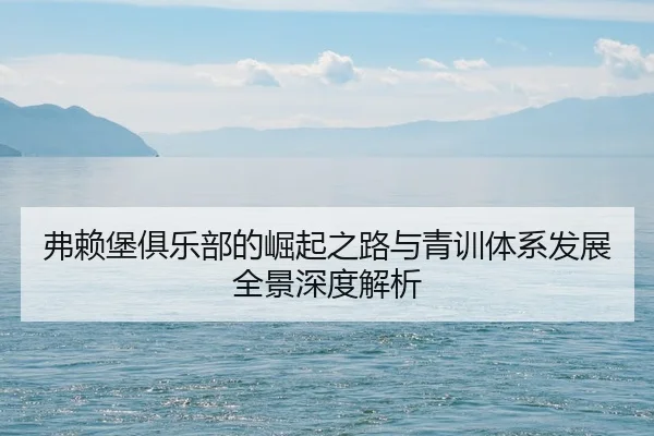弗赖堡俱乐部的崛起之路与青训体系发展全景深度解析