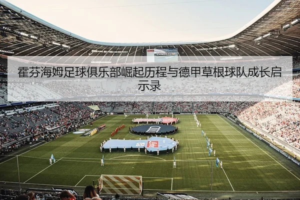 霍芬海姆足球俱乐部崛起历程与德甲草根球队成长启示录